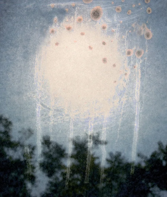 Into the Sun 40, 2009 26 x 22 inches 50 x 42 inches varnished pigment inkjet print
