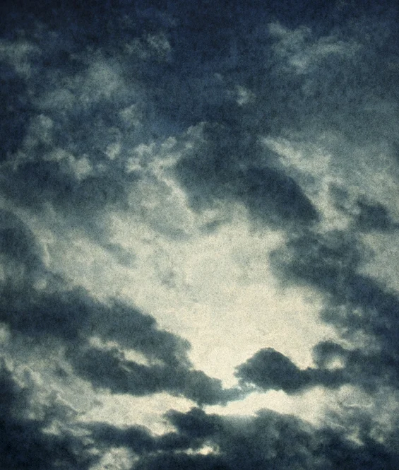 Into the Sun 29, 2009 26 x 22 inches 50 x 42 inches varnished pigment inkjet print