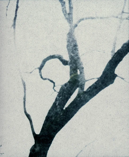 Into the Sun 6, 2009 26 x 22 inches 50 x 42 inches varnished pigment inkjet print