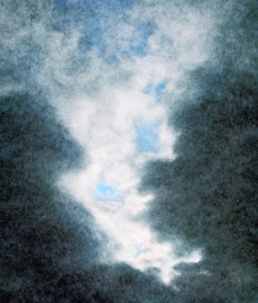 Into the Sun 30, 2009 26 x 22 inches 50 x 42 inches varnished pigment inkjet print