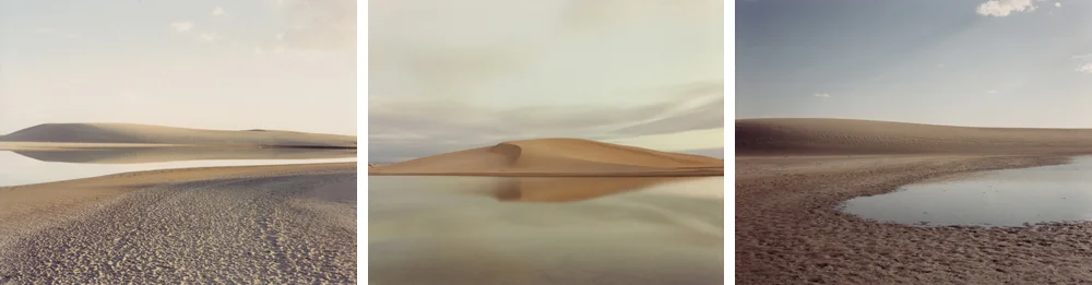 misrach.jpg