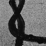 Aaron Suskind, Tar Pictures