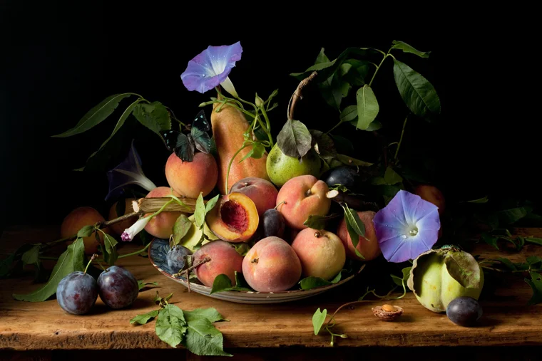 Peaches and Morning Glories, after G.G., 2010 from the series Natura Morta 16 x 20 inches (edition of 15) 20 x 30 inches (edition of 7) 32 x 48 inches (edition of 5)