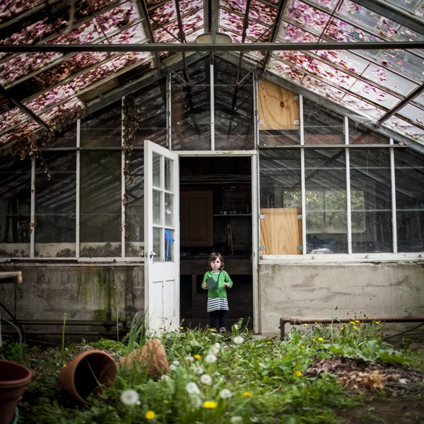 The Greenhouse, Scout, Camden, Maine, 2014 from the series Gardening at Night 14 x 14 inches (edition of 10) 28 x 28 inches (edition of 7) 40 x 40 inches (edition of 5) chromogenic dye coupler print