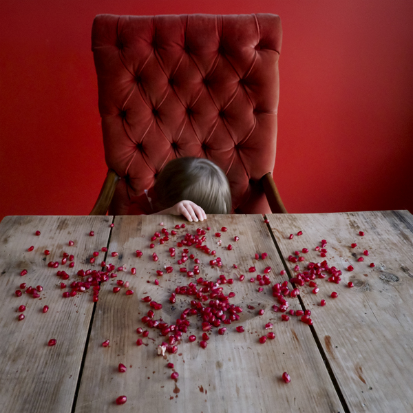 Pomegranate Seeds, Scout, Rockport, Maine, 2012 from the series Gardening at Night
