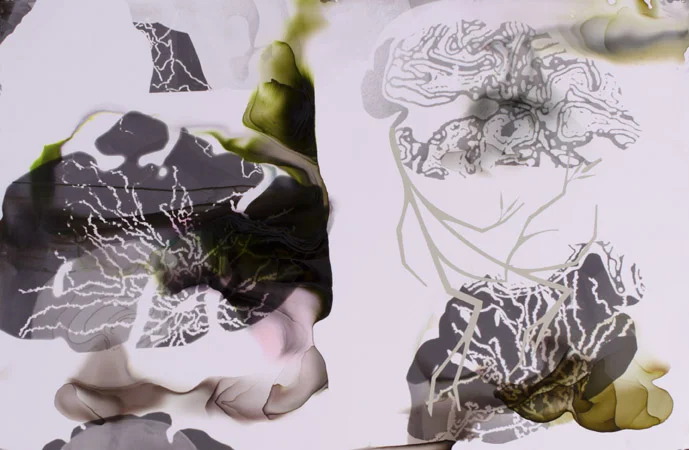 w- Rankaitis Interoception #1, 2011.jpg