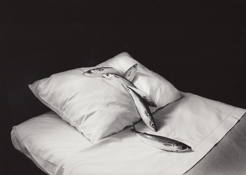 w_kon_mackerel_and_pillow_1979.jpg
