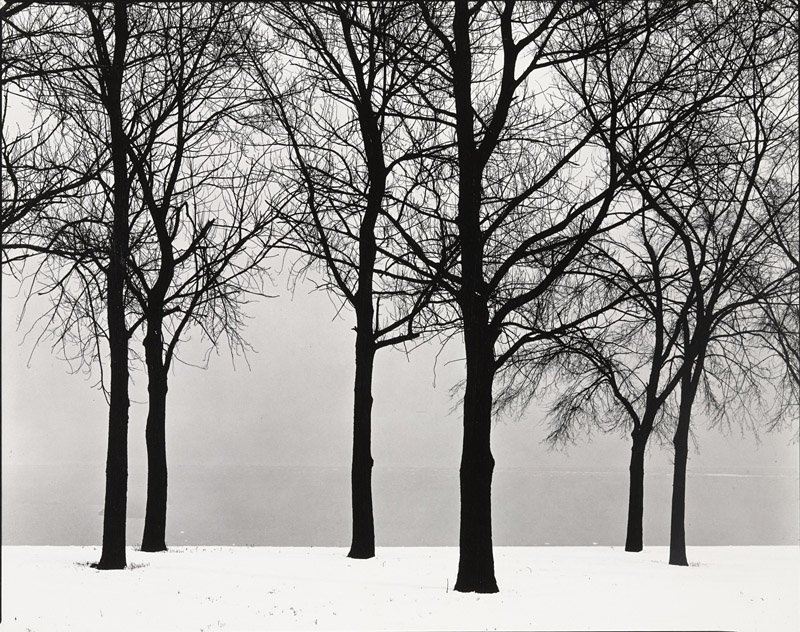 w_Harry Callahan Chicago (trees in snow), c. 1950.jpg