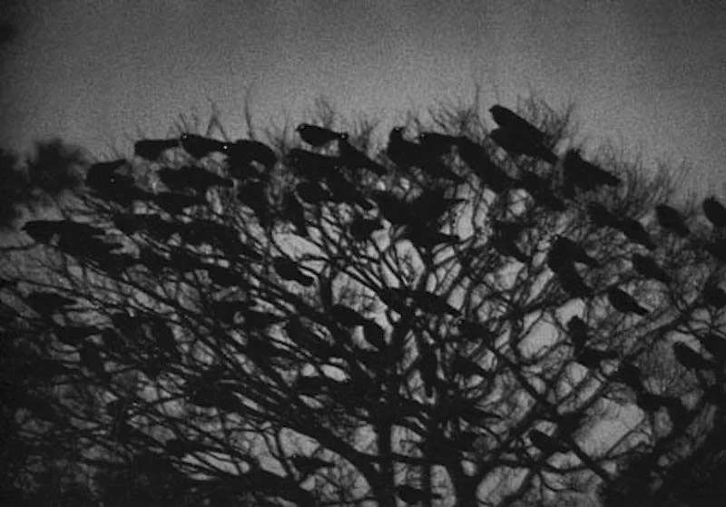 MASAHISA FUKASE