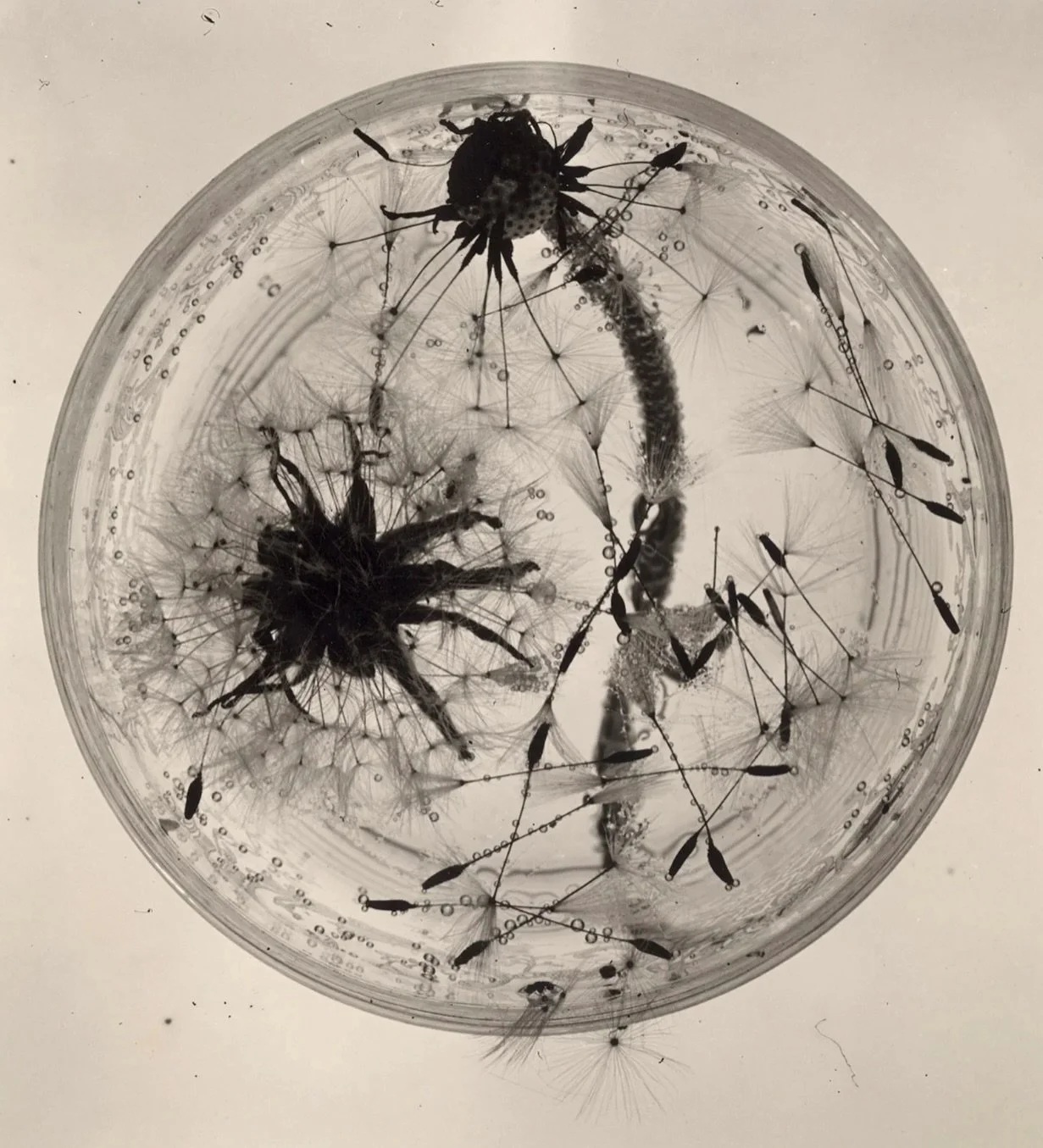 &ldquo;At a time when commercial imagery was dominated by bright colors and cheerful smiles, Stern and Auerbach began turning the conventions of advertising inside out,&rdquo; shares @blind.magazine in a recent article.

ringl+pit is on view in perso