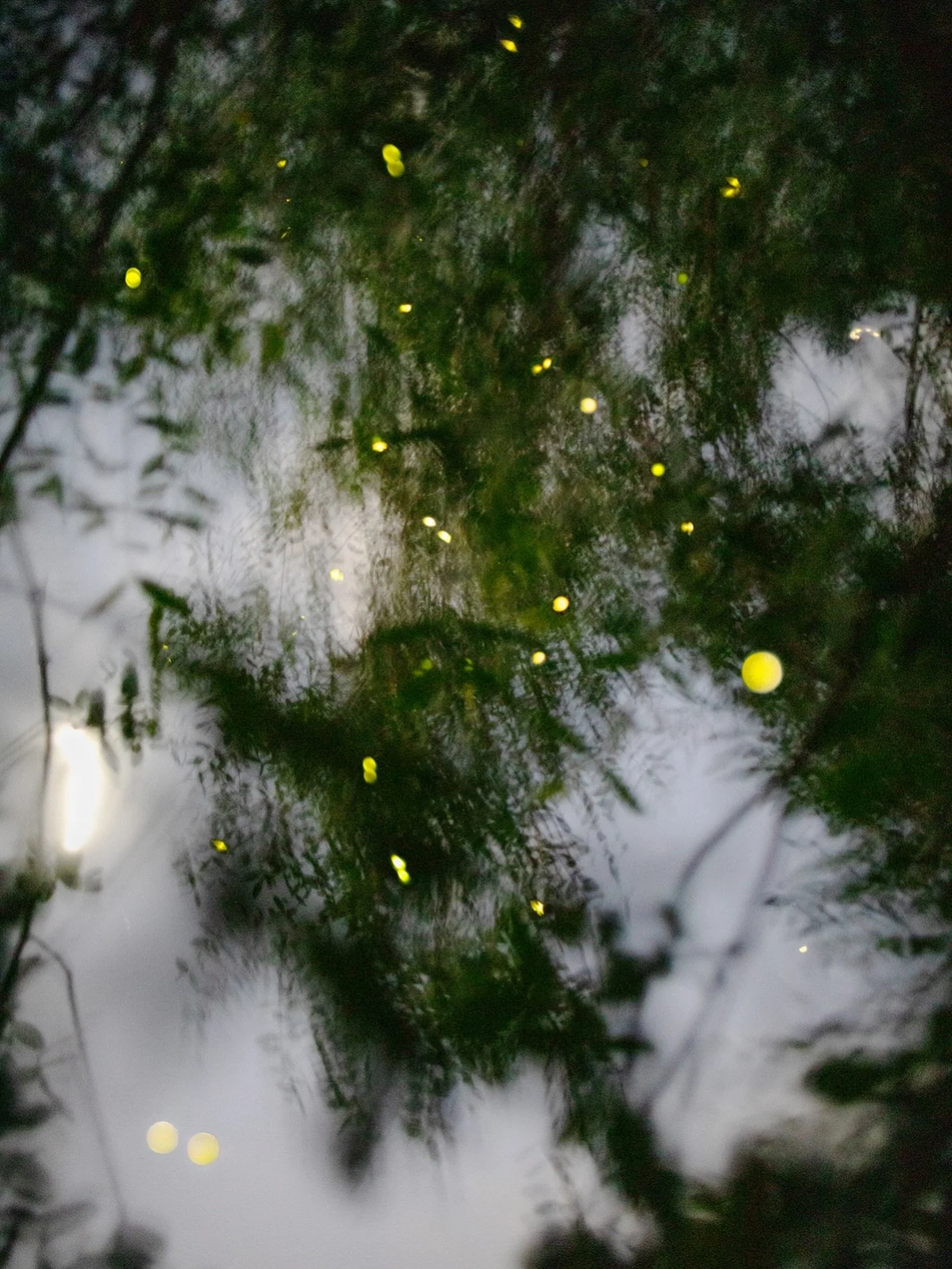 OPENING THURSDAY | Elijah Gowin: Spirit and Shadow

You are invited to the opening reception of Spirit and Shadow, this Thursday, December 11 from 6-8pm.

The artist&rsquo;s images illuminate the ephemeral beauty of light emerging from darkness, capt