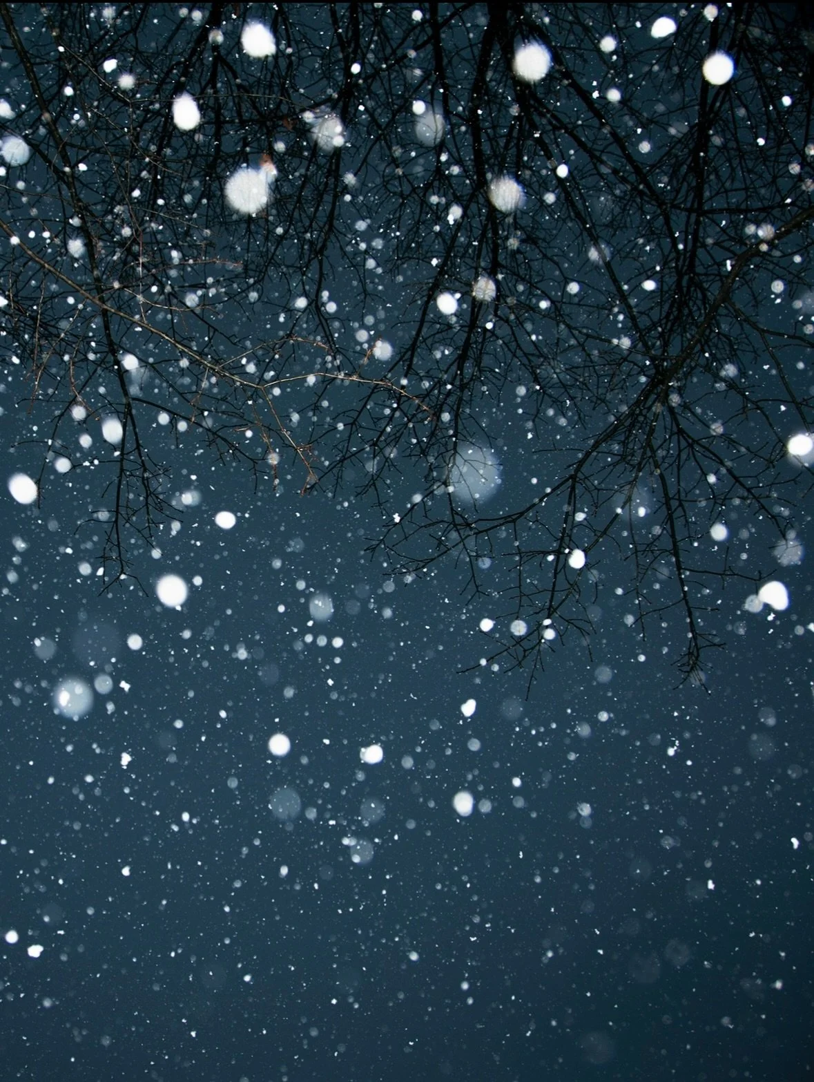 ON VIEW | Elijah Gowin: Spirit and Shadow

You are invited to an opening reception, TONIGHT, Thursday, December 11, from 6-8pm.

View Spirit and Shadow in person and online through January 31, 2026. For more information please visit our website, link