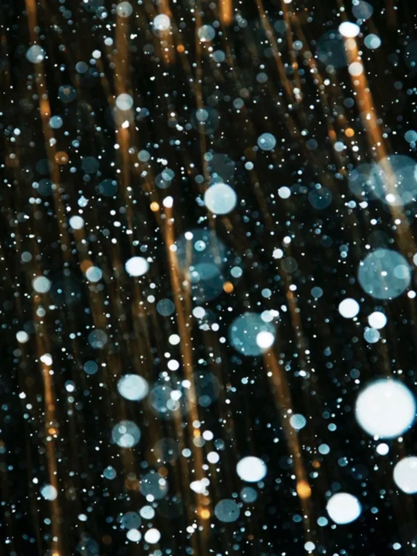 Fireflies and snowflakes dissolve boundaries between seasons, between the living and the spectral. Each image invites viewers to linger in a moment of suspension where light hovers on the edge of vanishing&mdash;an emblem of both spirit and shadow.

