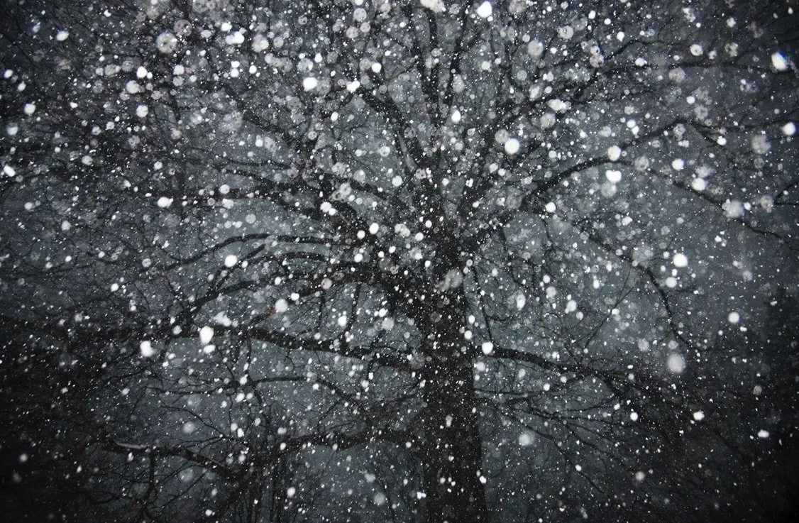 Elijah Gowin shares about his photography process, &ldquo;Both series are taken in complete darkness and require a process of faith&mdash;both in photographing, but also in living. The series play with scale where elements could be very small, or inf