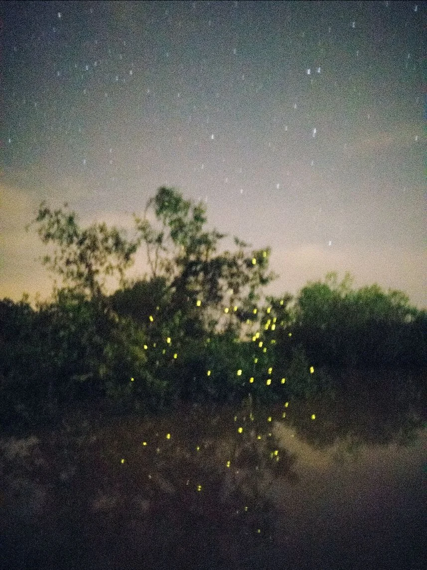 In a recent podcast episode hosted by Yale University Radio, Elijah Gowin shares how Spirit and Shadow combines snow and illumination with a poetic sense of light emerging from darkness.

Special Late Night Hours, TONIGHT, January 8, from 6-8PM to we