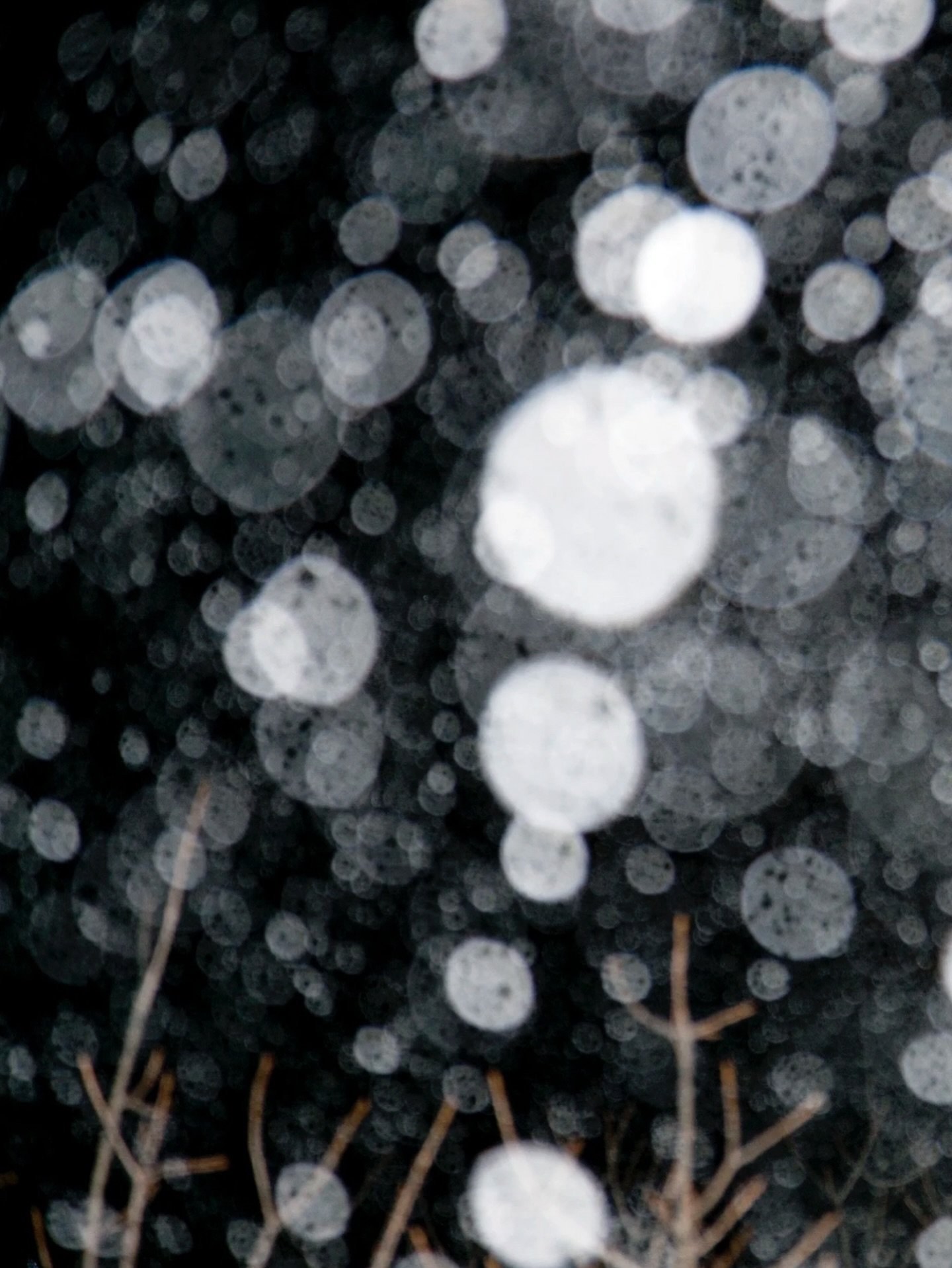 Elijah Gowin&rsquo;s photographs are in the collections of the National Gallery of Art, The Nelson-Atkins Museum of Art, Los Angeles County Museum of Art, and Virginia Museum of Fine Arts, among others. 

Elijah Gowin: Spirit and Shadow is on view in