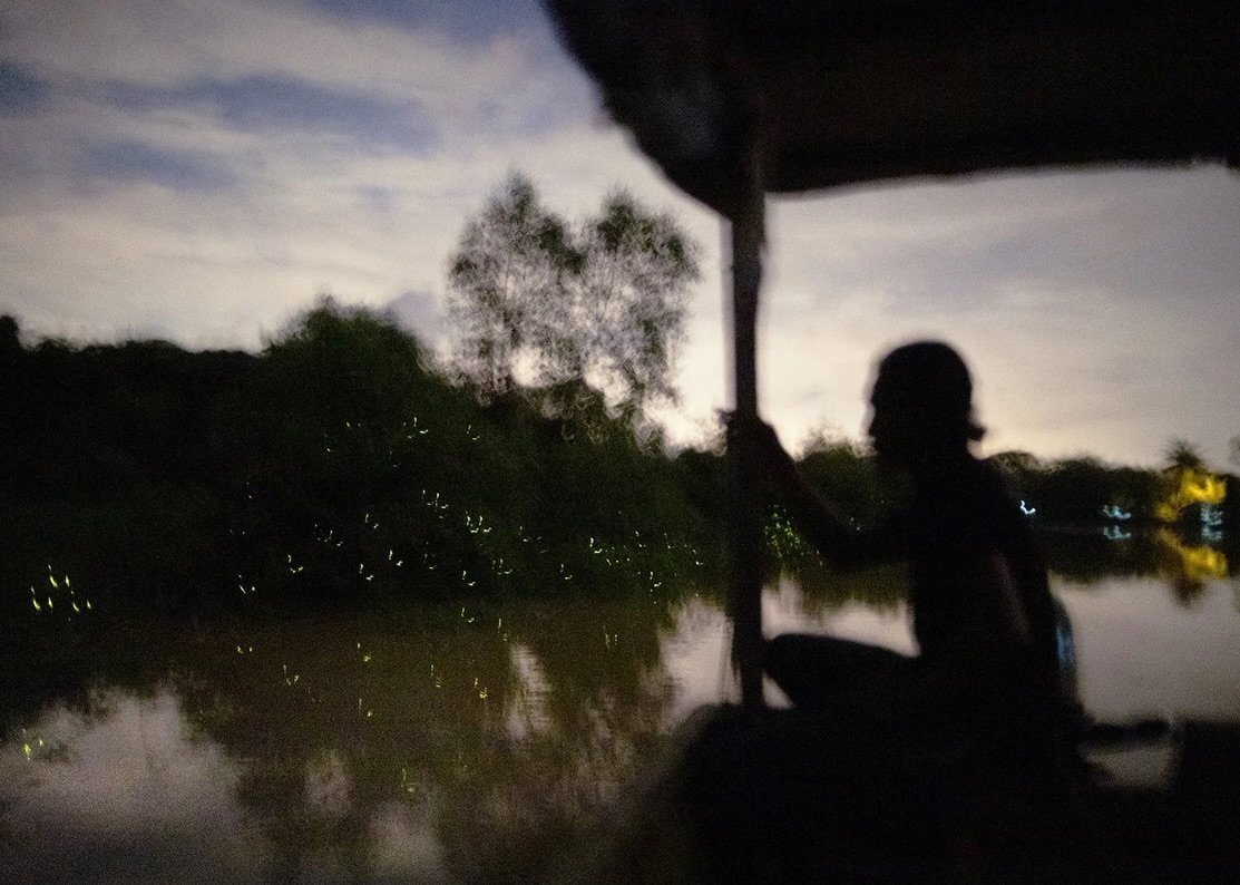 Our current exhibition, Spirit and Shadow, invites viewers into a meditative space where the most transient glimmers become eternal, and the natural world reveals its quiet, radiant soul.

Fireflies flash along the bank of a river&rsquo;s bend. They 