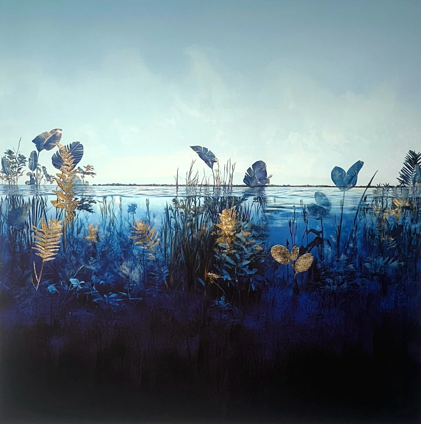 Mary Mattingly&rsquo;s collages combine cyanotypes, archival pigment prints and elements of gold leaf, conjuring otherworldly moments, gleaming with possibility.

These magical environments transcend nature&rsquo;s fragility and resilience, transform