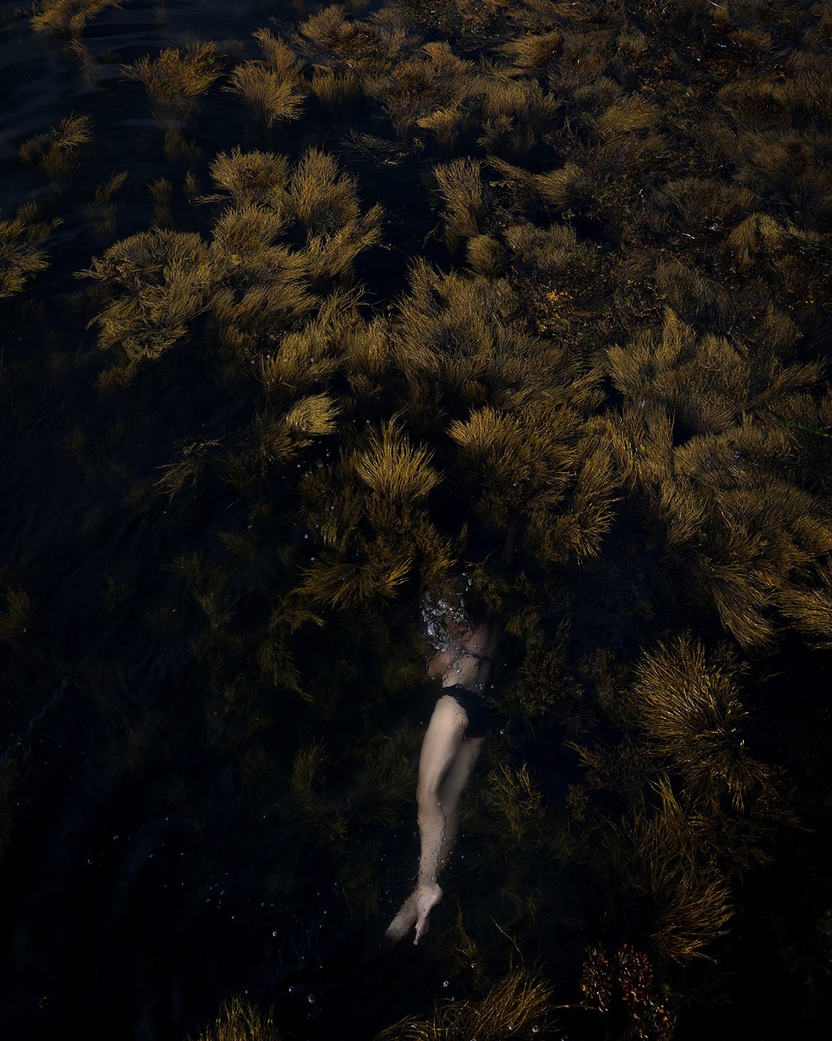 Robert Mann Gallery is pleased to announce our participation in The Photography Show, presented by AIPAD, from April 22 -26, 2026 at the Park Avenue Armory. The gallery will be presenting a balance of debut work from our contemporary artists and work