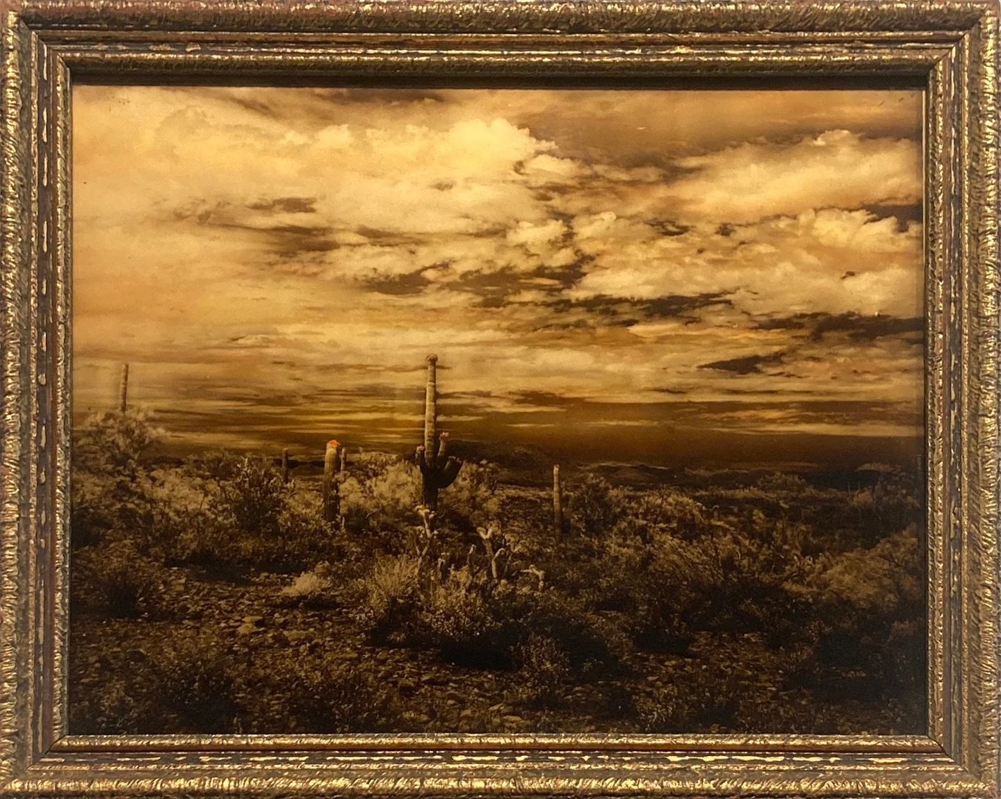 OPENING SATURDAY | Gold Standards: The Art of the Orotone

At the turn of the twentieth-century, when photographs were crafted as material objects to hold and cherish, gold was used in the production of a short-lived process called orotone, resulting