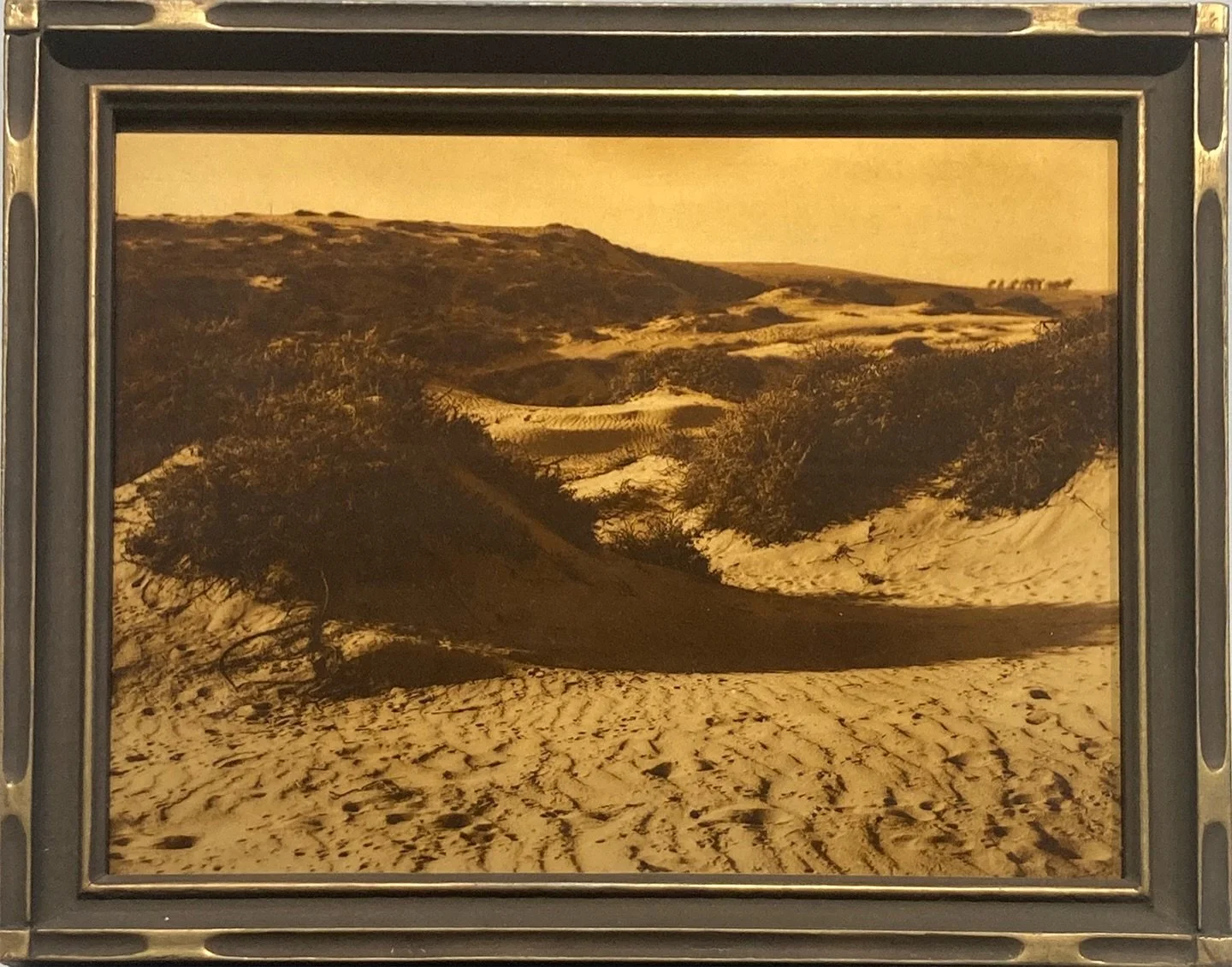 ON VIEW | Gold Standards: The Art of the Orotone

Drawn from the largest known privately held collection of orotones, Gold Standards: The Art of the Orotone, presents nearly one hundred glowing, metallic photographs created at the turn of the twentie