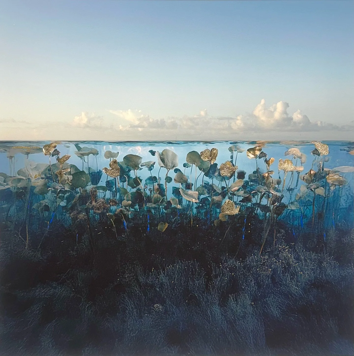 In celebration of Earth Day, we&rsquo;re highlighting the environmentally-focused work of Mary Mattingly, one of our AIPAD exhibiting artists. Mattingly is known for her sculptural ecosystems and photographs of fictional worlds that explore issues of