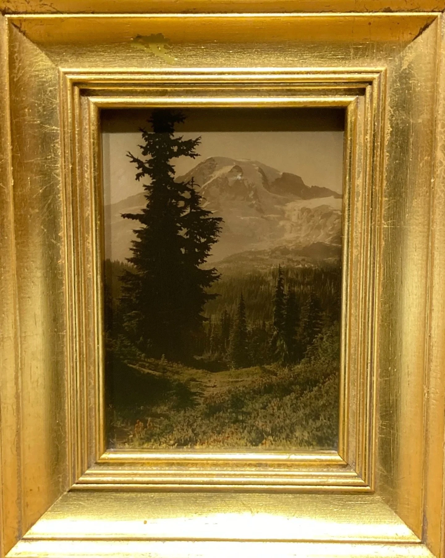 Orotones, a short-lived photographic process popularized at the turn of the twentieth century, were created by printing a positive image on a glass plate precoated with a silver gelatin emulsion. Following exposure and development, the back of the pl