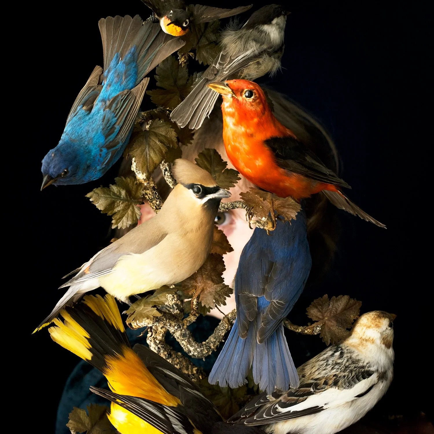 Summer Reflections:
On view in our summer show, How She Sees: Redux, is Cig Harvey&rsquo;s piece Birds of New England. The work was originally exhibited in her 2017 solo show, You An Orchestra You a Bomb, at the gallery&rsquo;s location on 525 W 26th