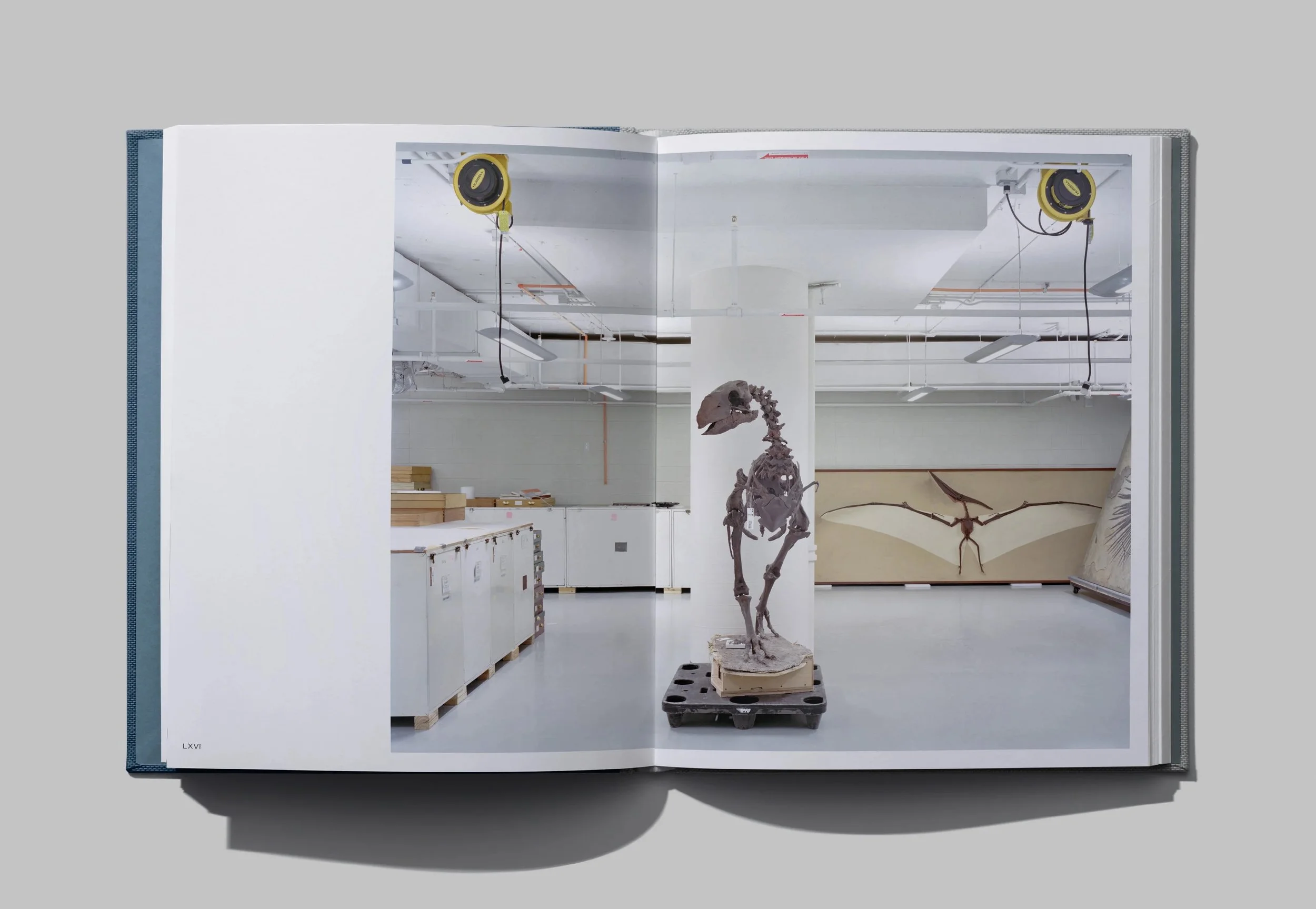 Congratulations to Sayler/Morris on the publication of their photobook, museum, which explores how museums control, construct and wield narratives within the public sphere. The book is made up of photographs taken during Sayler/Morris&rsquo; tenure a