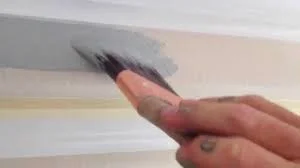 Set Brush.jpg