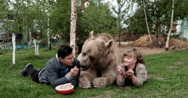 Grizzly by You Tube Caters.png