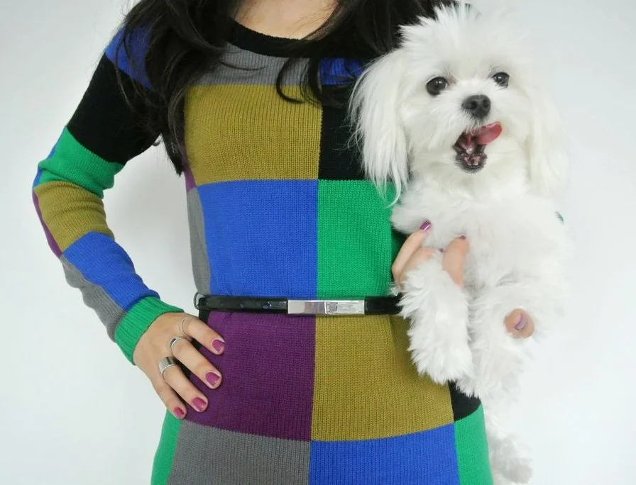 mod sweater.jpeg