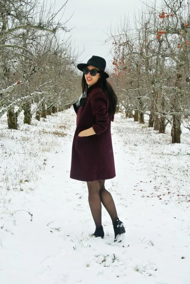 darkredcoat.jpeg