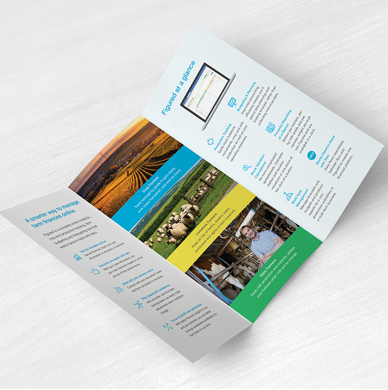 Figured | Trifold Brochure