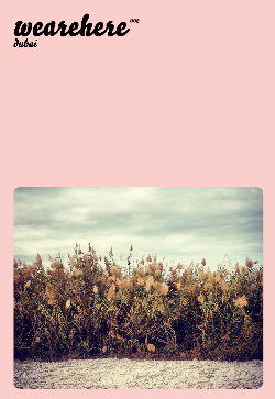 we are here magazine.jpg