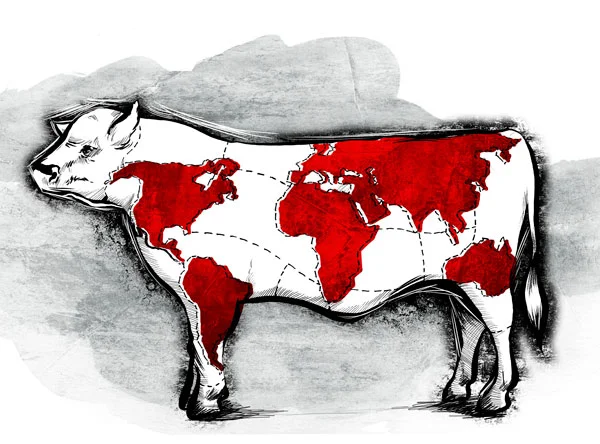 beef_diagram_sasan.jpg