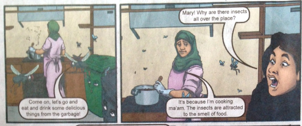 Panel 1 and 2.png