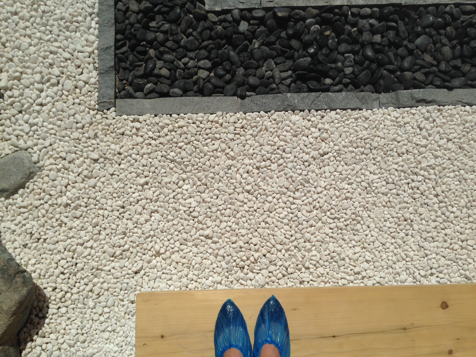 To step on the engawa, a shaded wooden platform from which to contemplate the garden's slow demise, one must wear blue medical shoe covers, which only augments the sense of creeping mortality.