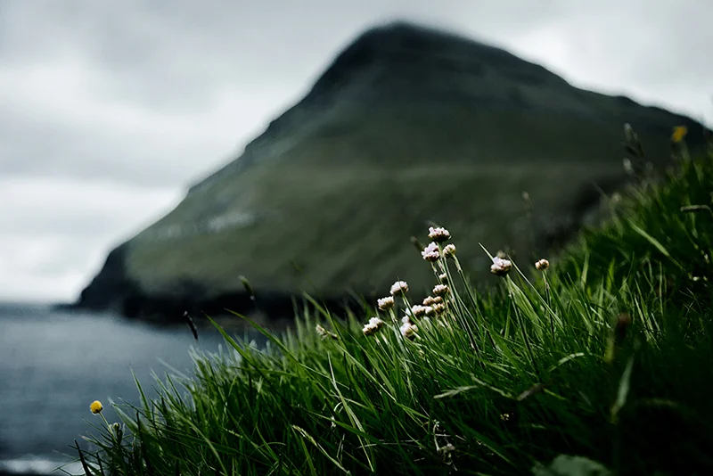 Faroe+Islands1_sm14A2050.jpg