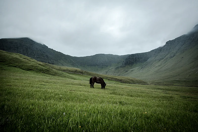 Faroe+Islands1_sm14A1572.jpg