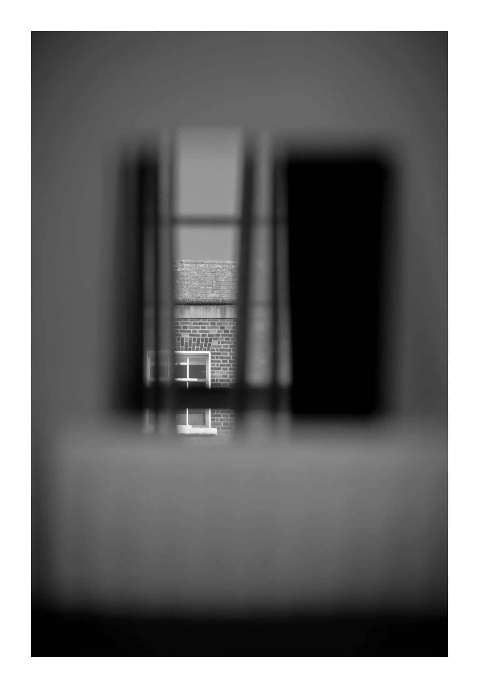 IMG_4275.jpg