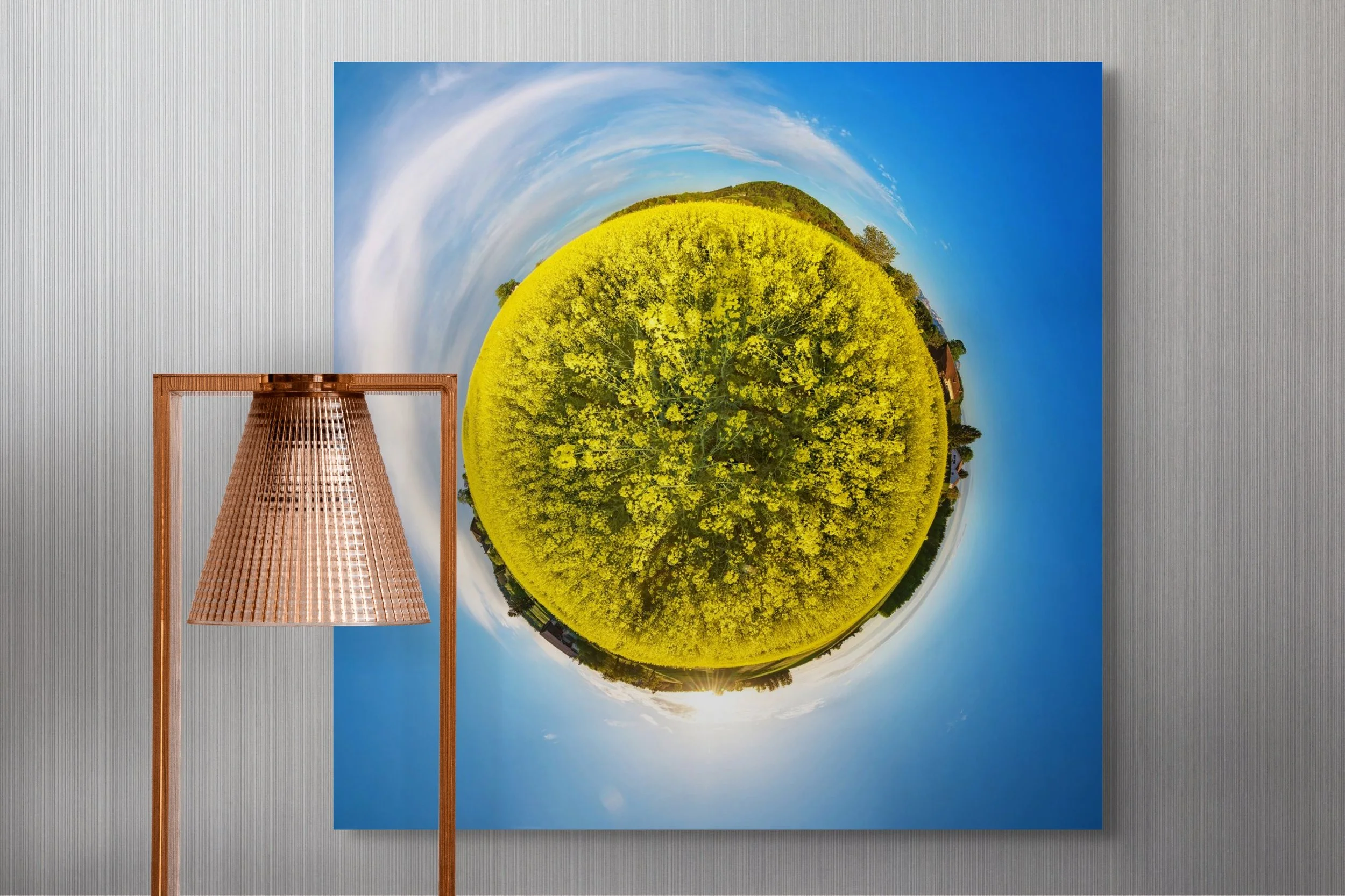 Savigny - Champ de colza