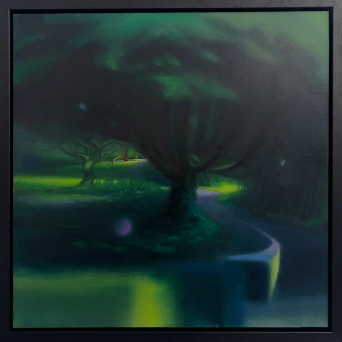 Through The Cypress