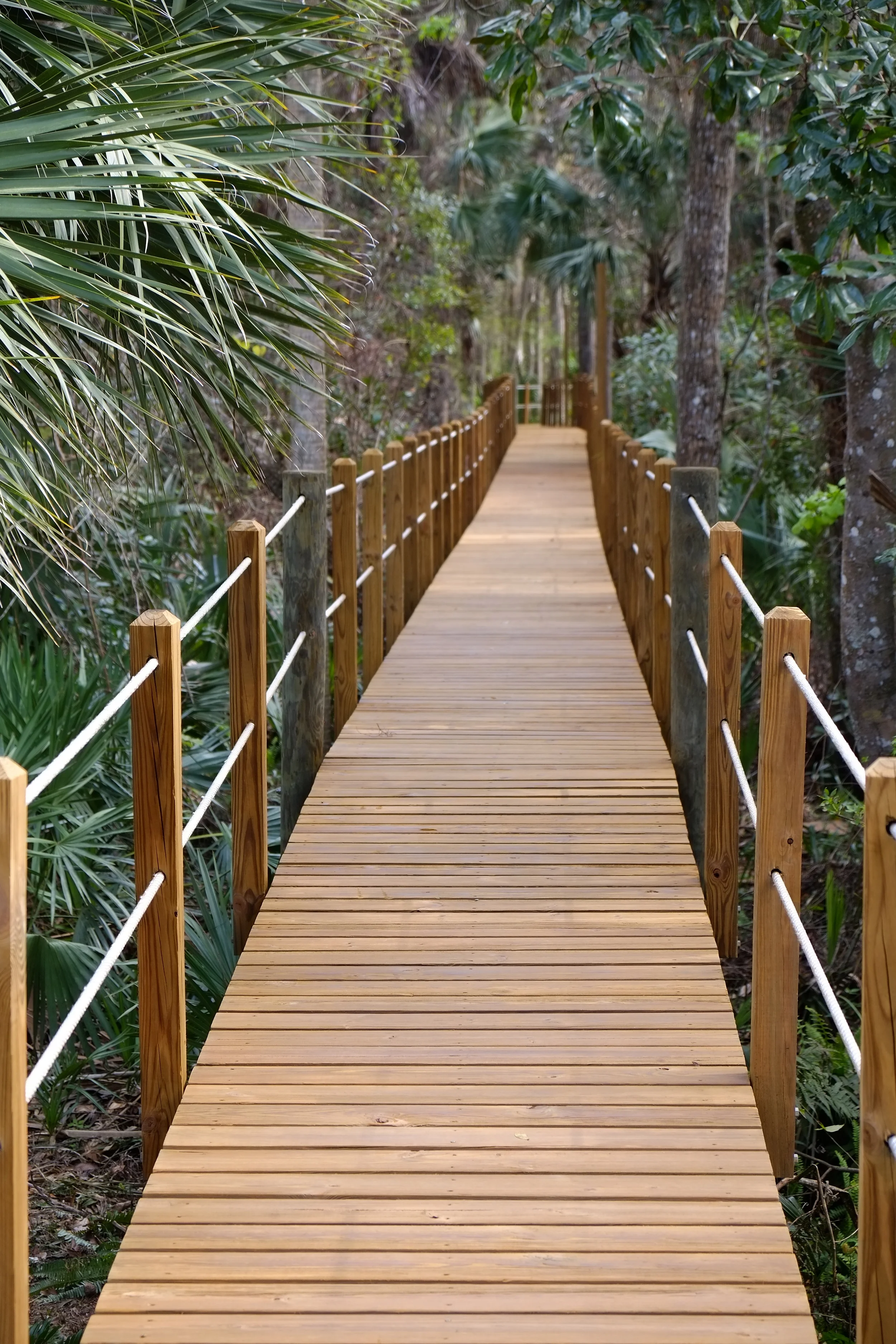 5 Essential Steps to Cleaning Your Dock Clear Advantage Cleaning