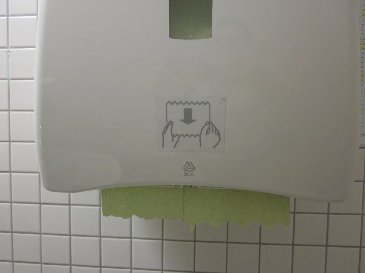 paper towels.jpg