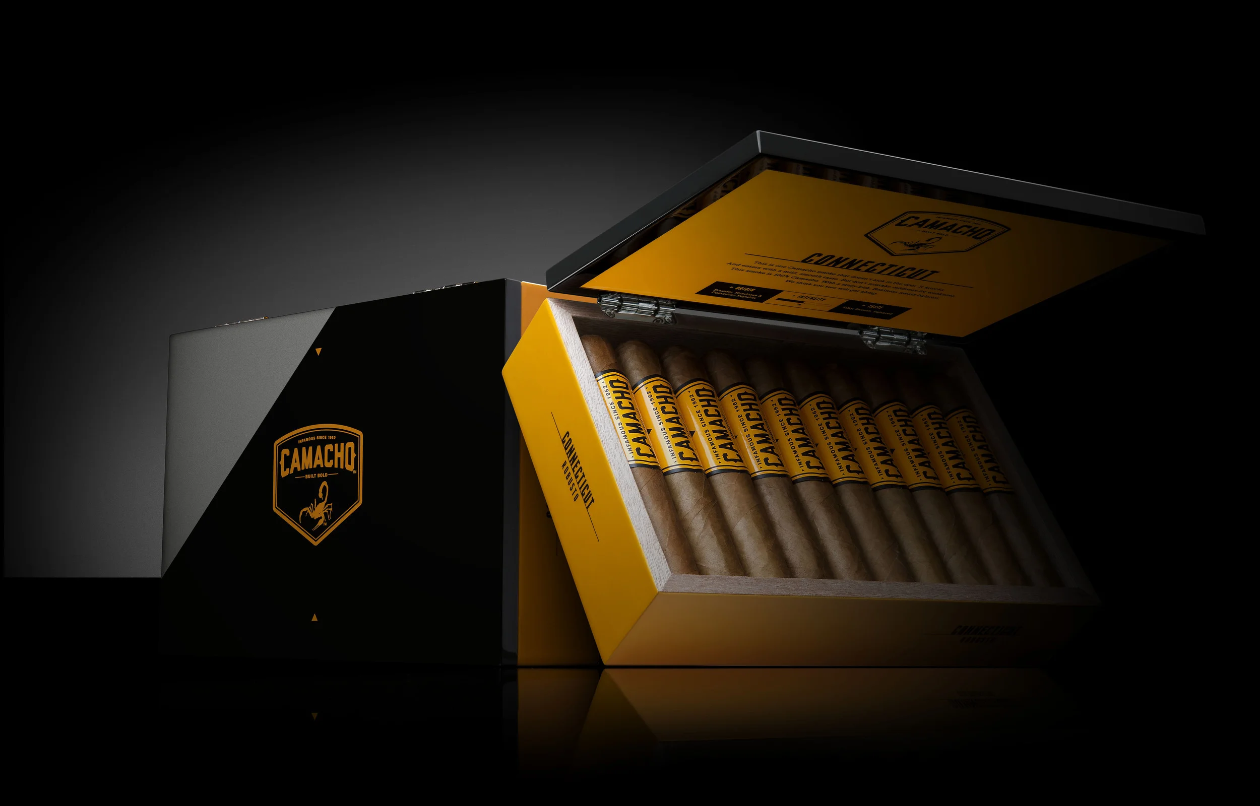 2013_Camacho_CT_box_beauty.jpg
