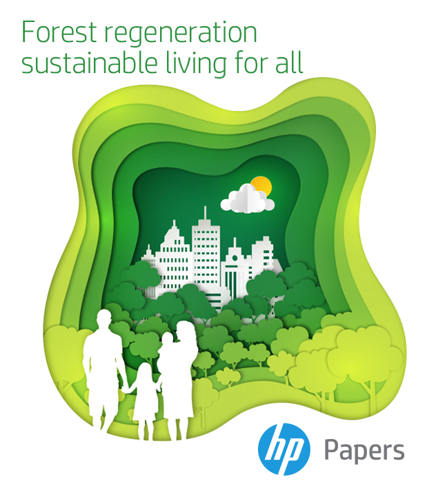 HP-2280_ForestRegeneration_Banners 645x724.jpg