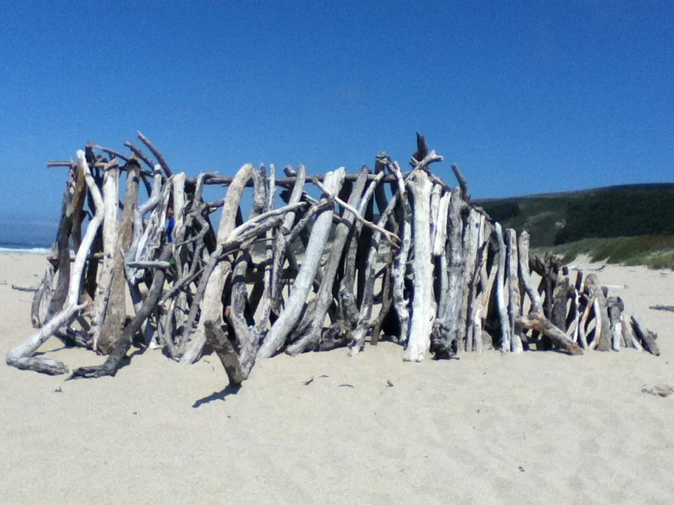 Imagination and driftwood go together
