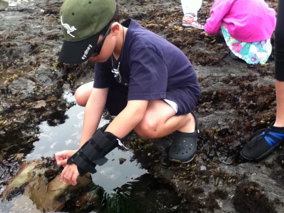 What lives at the edge of the sea? Is it a giant green sea anemone?