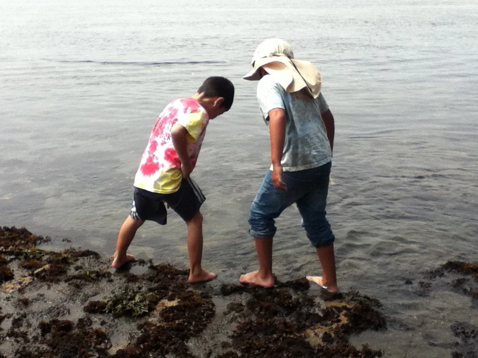 Explore tide-pools with your friends.